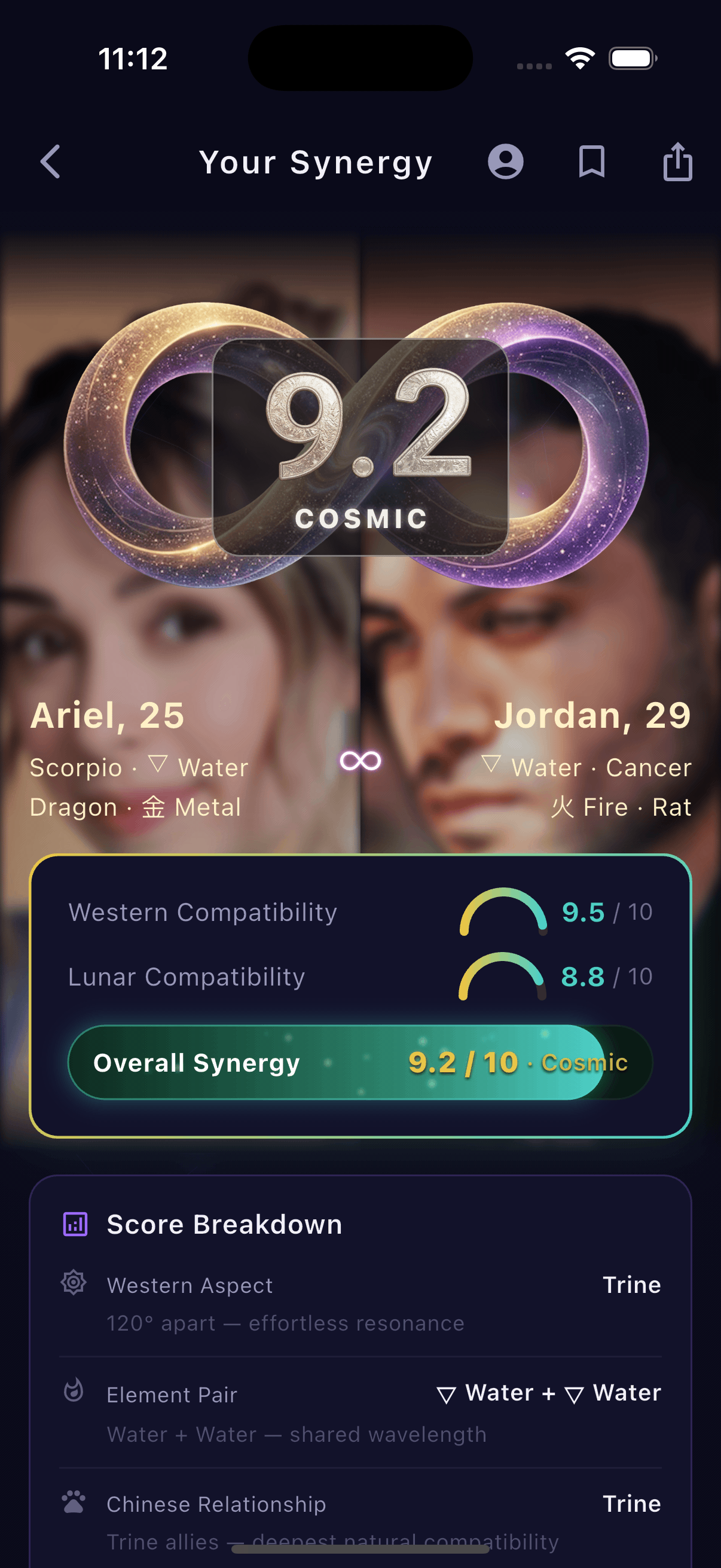 Synastrix detailed compatibility breakdown